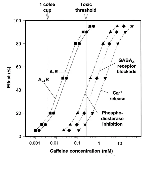 Pharmacologie de la caféine